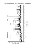 ION GENERATION USING WETTED POROUS MATERIAL diagram and image