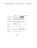 System and Method of Determining Timing Triggers for Detecting Gamma     Events for Nuclear Imaging diagram and image