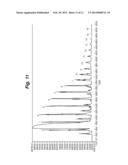 CAPILLARY ELECTROPHORESIS FLUORESCENT DETECTION SYSTEM diagram and image