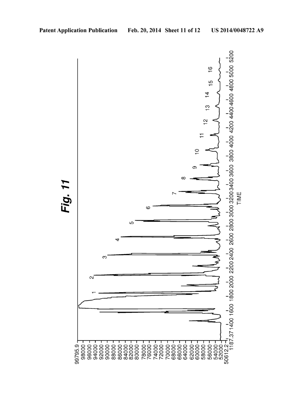 CAPILLARY ELECTROPHORESIS FLUORESCENT DETECTION SYSTEM - diagram, schematic, and image 12