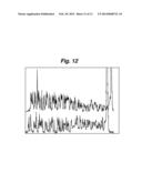 CAPILLARY ELECTROPHORESIS FLUORESCENT DETECTION SYSTEM diagram and image