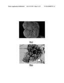 LUMINOPHORES AND CORE-SHELL LUMINOPHORE PRECURSORS diagram and image