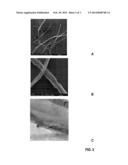 GRAPHENE NANORIBBON COMPOSITES AND METHODS OF MAKING THE SAME diagram and image