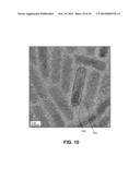 LIGHTING DEVICE HAVING HIGHLY LUMINESCENT QUANTUM DOTS diagram and image