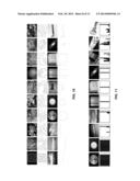 AUTOMATICALLY COMPUTING EMOTIONS AROUSED FROM IMAGES THROUGH SHAPE     MODELING diagram and image