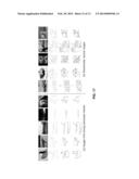 AUTOMATICALLY COMPUTING EMOTIONS AROUSED FROM IMAGES THROUGH SHAPE     MODELING diagram and image