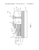 Vertical-Cavity Surface-Emitting Laser with a Mode Control Cavity and an     Undercut Structure diagram and image