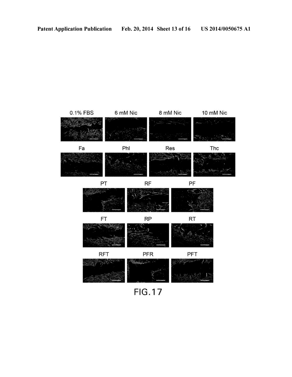 ANTIOXIDANT COMPOSITIONS FOR SOFT ORAL TISSUE AND METHODS OF FORMULATION     AND USE THEREOF - diagram, schematic, and image 14