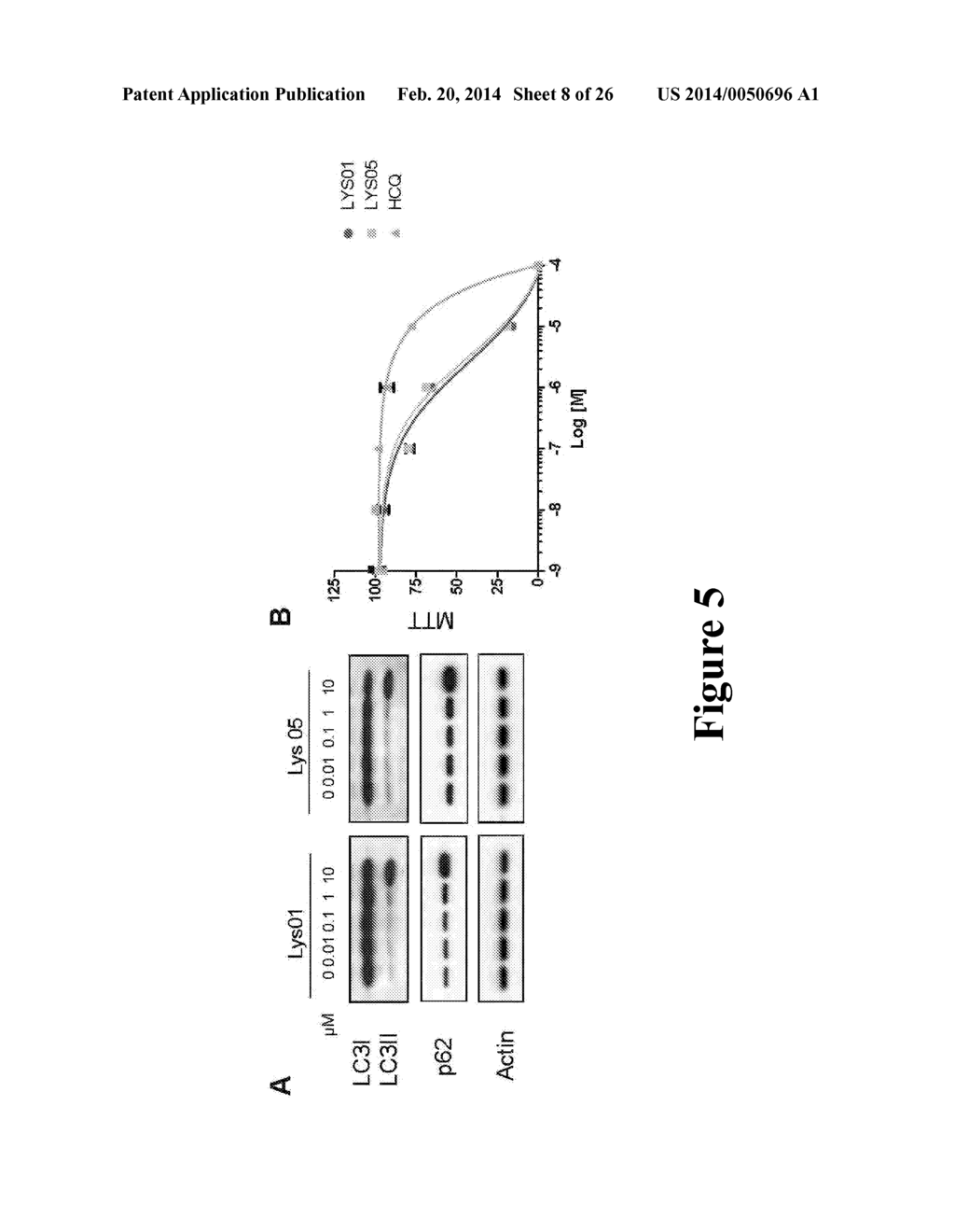 NOVEL BISAMINOQUINOLINE COMPOUNDS, PHARMACEUTICAL COMPOSITIONS PREPARED     THEREFROM AND THEIR USE - diagram, schematic, and image 09