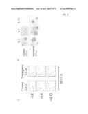 REVERSING THE EFFECTS OF THE TUMOR MICROENVIRONMENT USING CHIMERIC     CYTOKINE RECEPTORS diagram and image