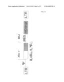 REVERSING THE EFFECTS OF THE TUMOR MICROENVIRONMENT USING CHIMERIC     CYTOKINE RECEPTORS diagram and image