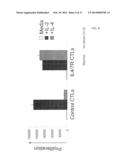 REVERSING THE EFFECTS OF THE TUMOR MICROENVIRONMENT USING CHIMERIC     CYTOKINE RECEPTORS diagram and image