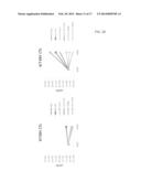 REVERSING THE EFFECTS OF THE TUMOR MICROENVIRONMENT USING CHIMERIC     CYTOKINE RECEPTORS diagram and image