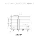 PRODUCTION OF RED BLOOD CELLS AND PLATELETS FROM STEM CELLS diagram and image