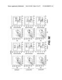 PRODUCTION OF RED BLOOD CELLS AND PLATELETS FROM STEM CELLS diagram and image