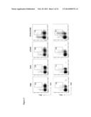 COMBINATION FOR USE IN THE TREATMENT AND/OR PREVENTION OF MASTITIS diagram and image