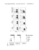 COMBINATION FOR USE IN THE TREATMENT AND/OR PREVENTION OF MASTITIS diagram and image