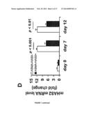 COMPOSITIONS AND METHODS FOR THE TREATMENT OF TISSUE FIBROSIS diagram and image