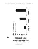 COMPOSITIONS AND METHODS FOR THE TREATMENT OF TISSUE FIBROSIS diagram and image