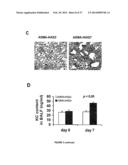 COMPOSITIONS AND METHODS FOR THE TREATMENT OF TISSUE FIBROSIS diagram and image