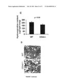 COMPOSITIONS AND METHODS FOR THE TREATMENT OF TISSUE FIBROSIS diagram and image