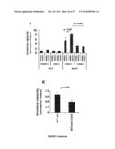 COMPOSITIONS AND METHODS FOR THE TREATMENT OF TISSUE FIBROSIS diagram and image