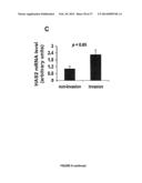 COMPOSITIONS AND METHODS FOR THE TREATMENT OF TISSUE FIBROSIS diagram and image