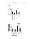 COMPOSITIONS AND METHODS FOR THE TREATMENT OF TISSUE FIBROSIS diagram and image