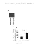 COMPOSITIONS AND METHODS FOR THE TREATMENT OF TISSUE FIBROSIS diagram and image