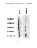 COMPOSITIONS AND METHODS FOR THE TREATMENT OF TISSUE FIBROSIS diagram and image