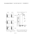 POLYIONIC PAPILLOMA VIRUS-LIKE PARTICLE (VLP) VACCINES diagram and image