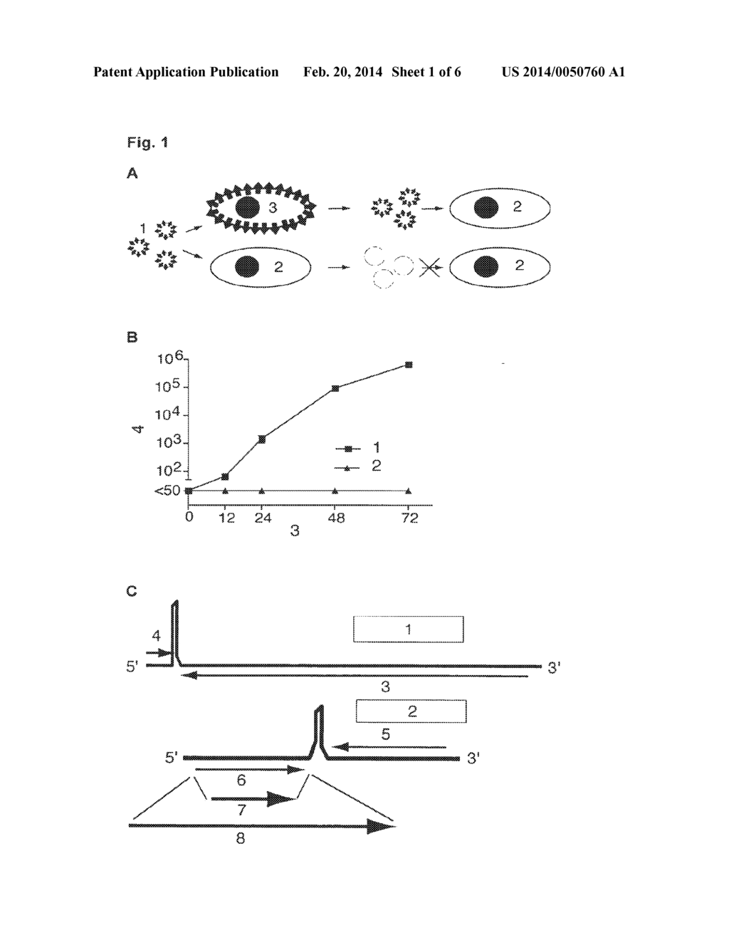 Replication-Defective Arenavirus Vectors - diagram, schematic, and image 02