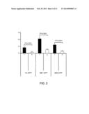 COMPOSITIONS AND METHODS FOR TREATMENT OF MELANOMA diagram and image