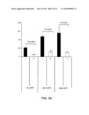 COMPOSITIONS AND METHODS FOR TREATMENT OF MELANOMA diagram and image