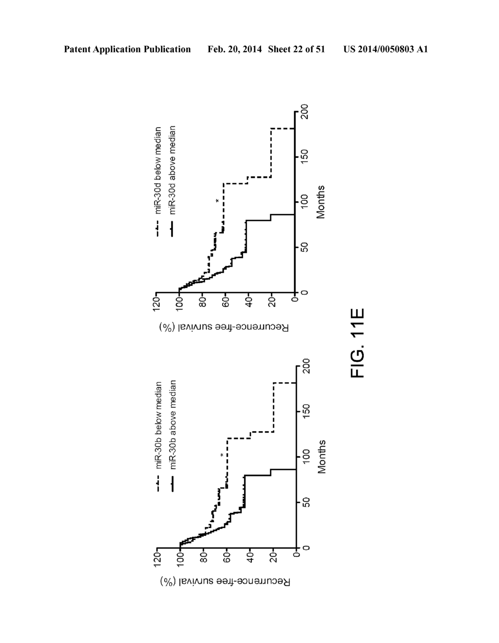 COMPOSITIONS AND METHODS FOR TREATMENT OF MELANOMA - diagram, schematic, and image 23