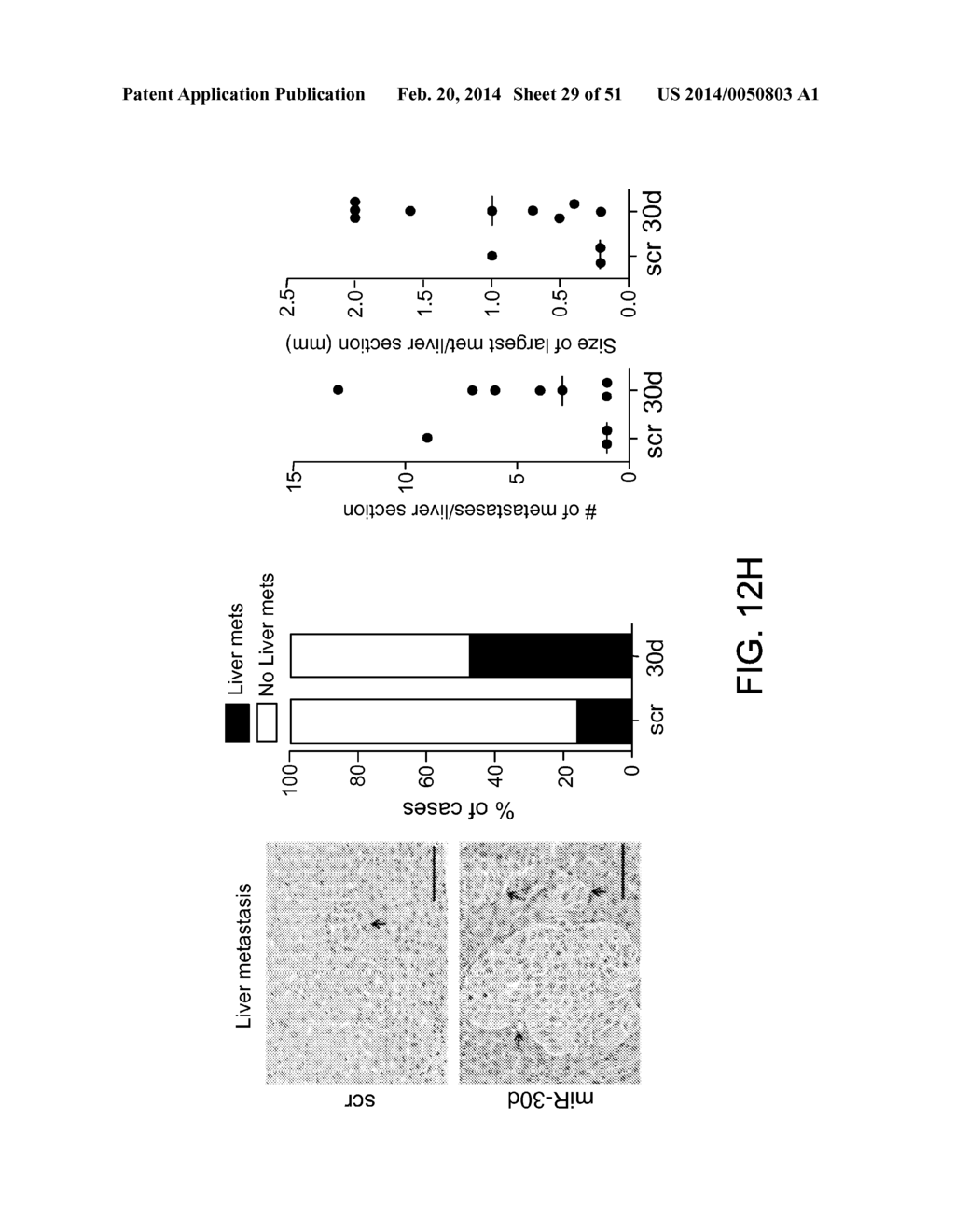 COMPOSITIONS AND METHODS FOR TREATMENT OF MELANOMA - diagram, schematic, and image 30