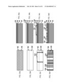 Multiple Step Printing Methods for Microbarcodes diagram and image