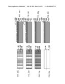 Multiple Step Printing Methods for Microbarcodes diagram and image