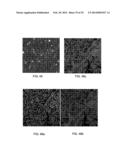 Multiple Step Printing Methods for Microbarcodes diagram and image