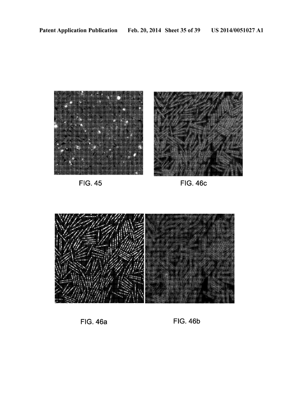 Multiple Step Printing Methods for Microbarcodes - diagram, schematic, and image 36