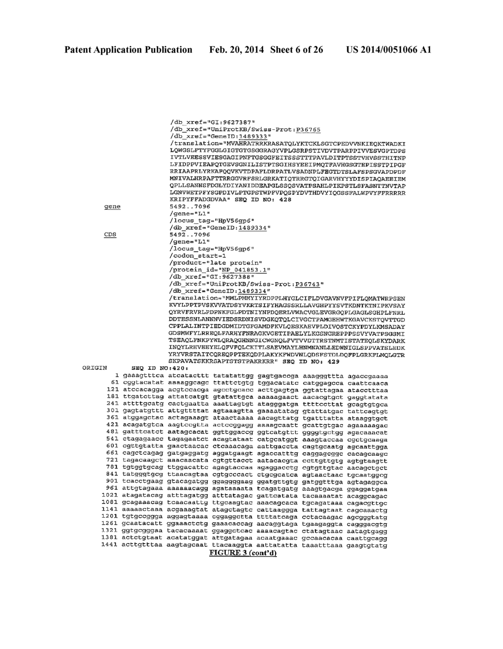 HPV DETECTION AND QUANTIFICATION BY REAL-TIME MULTIPLEX AMPLIFICATION - diagram, schematic, and image 07