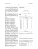 HPV DETECTION AND QUANTIFICATION BY REAL-TIME MULTIPLEX AMPLIFICATION diagram and image