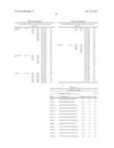 HPV DETECTION AND QUANTIFICATION BY REAL-TIME MULTIPLEX AMPLIFICATION diagram and image