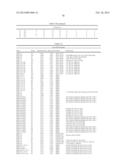 HPV DETECTION AND QUANTIFICATION BY REAL-TIME MULTIPLEX AMPLIFICATION diagram and image