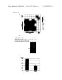 METHOD OF JUDGING INFLAMMATORY DISEASE BY USING SINGLE NUCLEOTIDE     POLYMORPHISM diagram and image