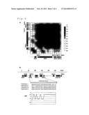 METHOD OF JUDGING INFLAMMATORY DISEASE BY USING SINGLE NUCLEOTIDE     POLYMORPHISM diagram and image