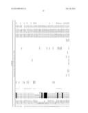 IDENTIFICATION OF GENE ASSOCIATED WITH READING DISABILITY AND USES     THEREFOR diagram and image