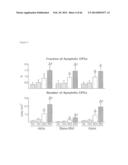 METHODS OF ISOLATING NON-SENESCENT CARDIAC STEM CELLS AND USES THEREOF diagram and image