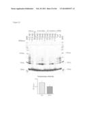 METHODS OF ISOLATING NON-SENESCENT CARDIAC STEM CELLS AND USES THEREOF diagram and image