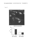 METHODS OF ISOLATING NON-SENESCENT CARDIAC STEM CELLS AND USES THEREOF diagram and image